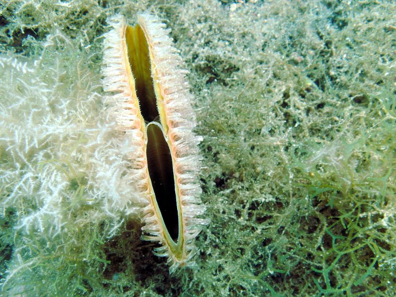 2012-09-12 14-38-16 Ludo.jpg